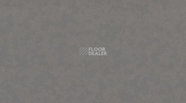 Линолеум Taralay Premium Compact Osmoz 3791 SLATE GREY фото 1 | FLOORDEALER